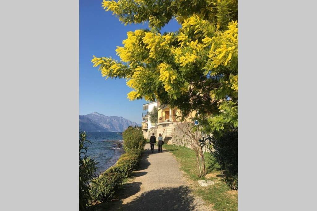 Villa Francesca-Grande Appartamento In Riva Al Lago Brenzone sul Garda Exterior photo